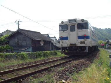 株式会社ダルマックス